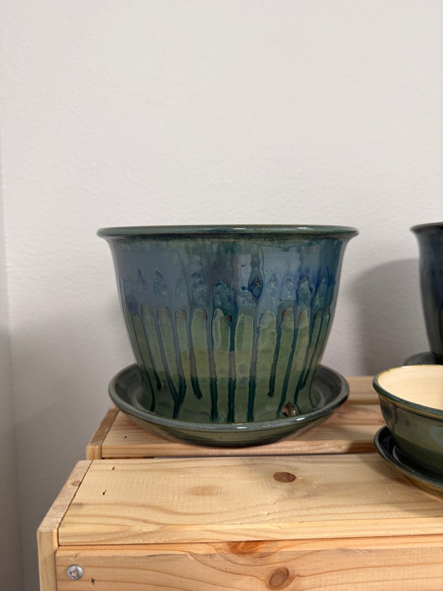 Large Rainforest Planter with Attached Drip Tray