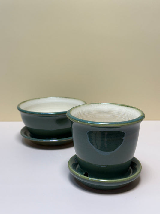 Assorted Green Mini Plant Pots