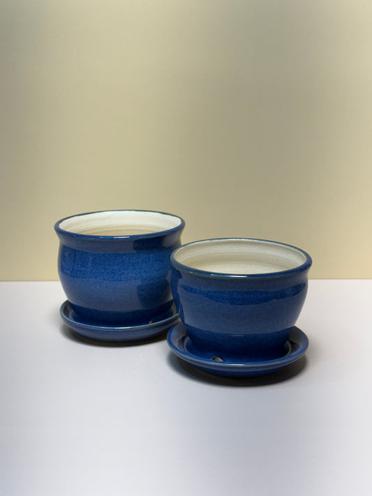 Assorted Blue Mini Plant Pots